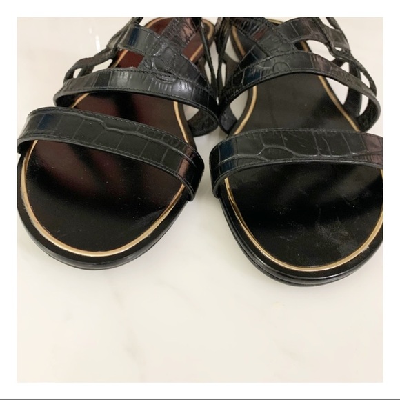 Stella Luna Slides 40 - Picture 8 of 8